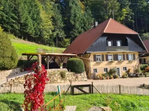 Fischerbach Appartement | Rechenpeterhäusle