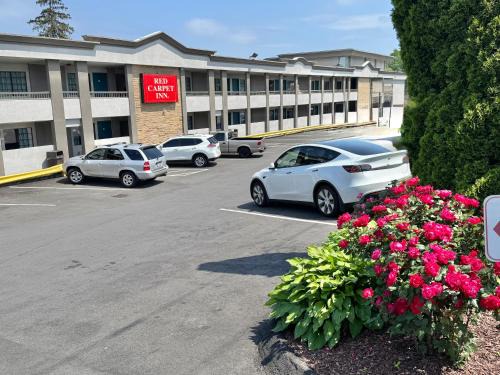 Cove - East Side - Shippan Hôtel | Red Carpet Inn - Stamford