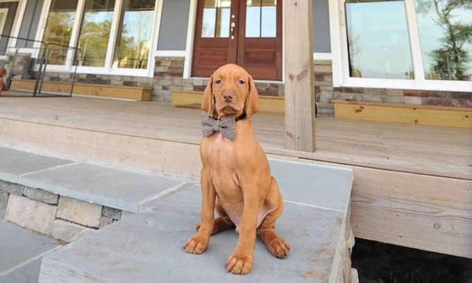 Rocky Point Appartement | Red Dog Farms Modern Studio Apt