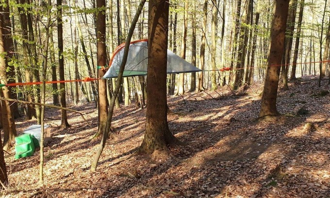 Solling Appartement | Red fir tree tent - Baumhaushotel Solling