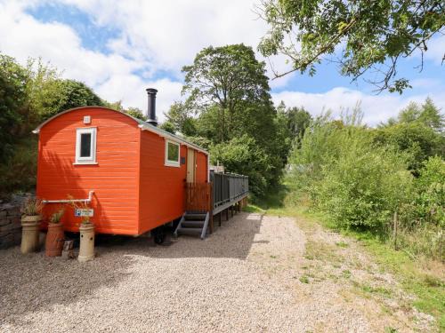Oswestry Maison | Red Kite at Wild Valley Huts