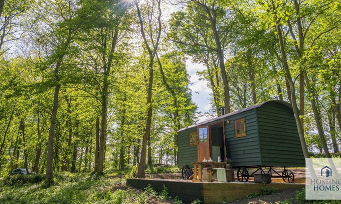 Maidensgrove Cabine | Red Kite Retreat - Four Stunning Woodland Cabins