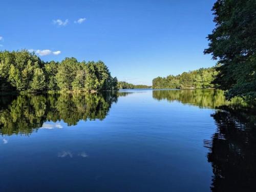Phillips Maison | Red Tree Resort LLC