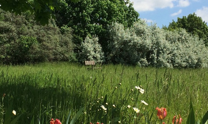 Randowtal Appartement | Refuge dans l'Uckermark + beaucoup de nature + idylle avec sauna de jardin + vie élégante