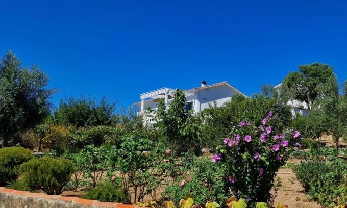 Vila de Rei Maison | Refugio Abrunheiro Grande