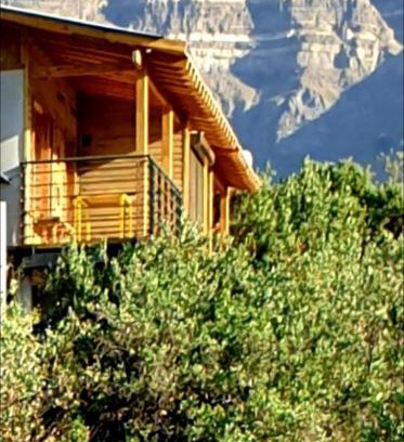 El Ingenio Chalet De Ski | Refugio Cordillera Flora endógena Bosque Esclerófilo