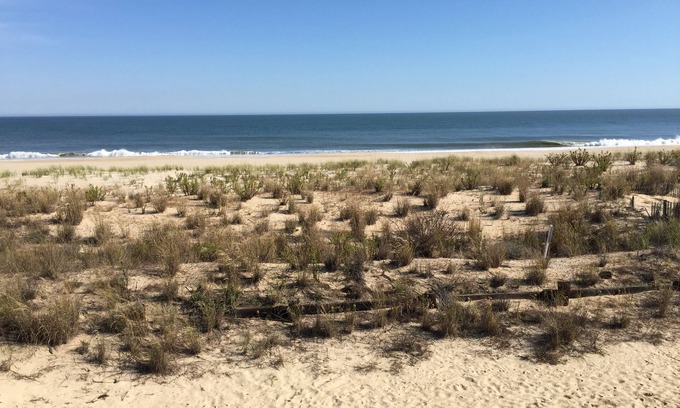 Rehoboth by the Sea Maison | Rehoboth by the Sea Oceanfront Paradise!