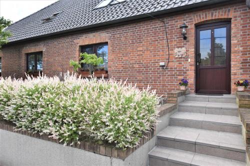Satow Appartement | Reihenferienhaus mit Kamin und Terrasse im Ostseeland OFC 11