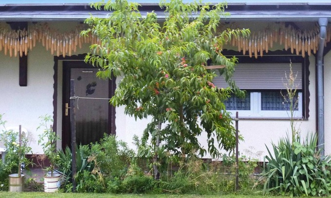 Lubben Maison | Bungalow à Lübben avec place de parking