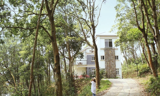 Sanyi Lit Et Petit-Déjeuner | Reindeer Miaoli Green Wave