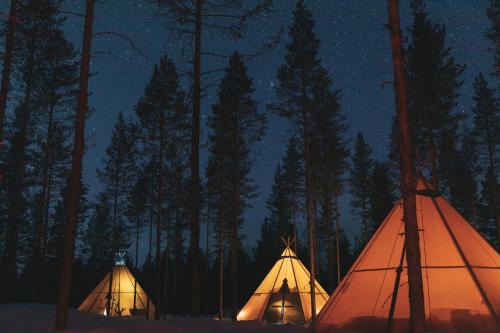 Tavelsjo Autre | Reindeer Ranch