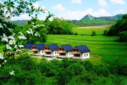 Lesnica Cabine | Rekreačna usadlosť Pieninka