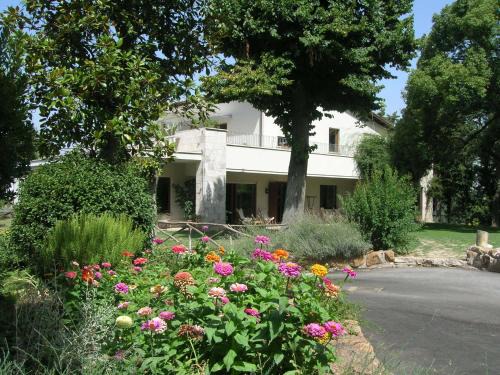 Camilluccia Maison | Relais La Canfora