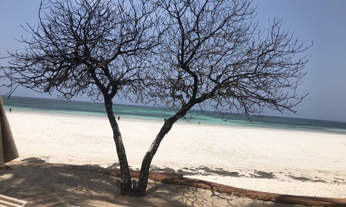 Galu Beach Appartement | Détendez-vous et rajeunissez-vous sur la côte sud du Kenya: la propriété en bord de mer peut accueillir 6 personnes,