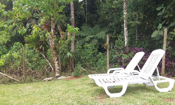 Mury Maison | Rest in the green of the Atlantic Forest.