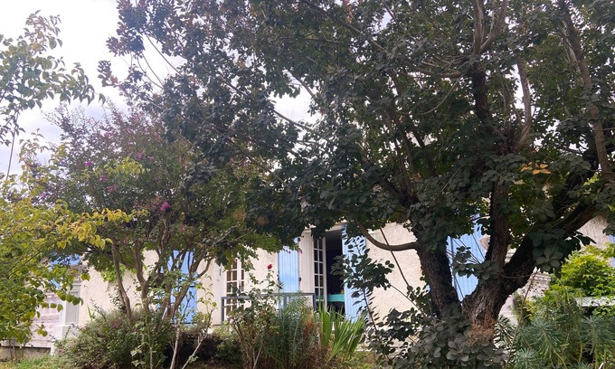 Gaillac Maison | Relaxation at the crossroads of the Bastides tarnaises