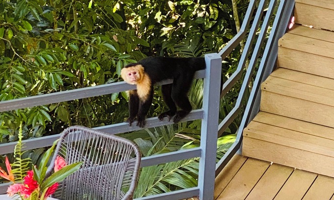 Ojochal Lit Et Petit-Déjeuner | Relaxed, unplugged, Costa Rican-style comfort with a beach access