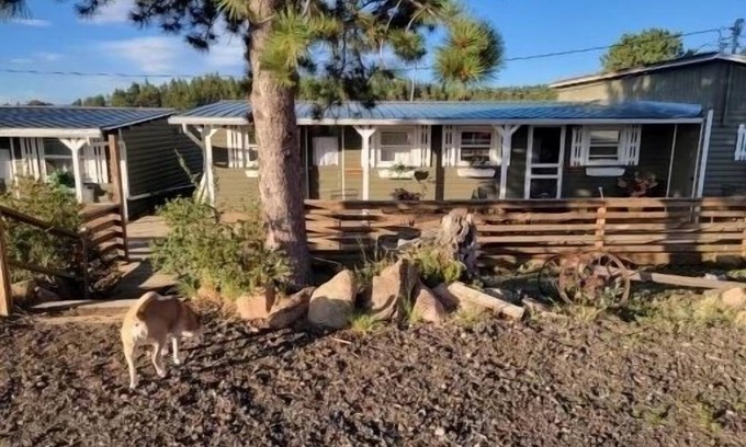 Red Feather Lakes Cabine | Relaxing Cabin in the heart of Red Feather Lakes!!