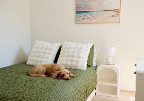 Varsity Lakes Maison | Renovated Family Retreat Pet Friendly