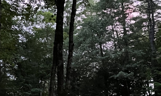 Concord Maison | Rent this woodland oasis for family time, work or both!