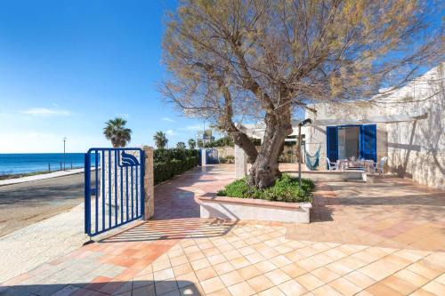Torre Colimena Appartement | Residence La Scogliera