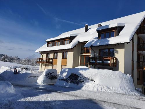 Titisee-Neustadt Appartement | Residenz Am See - Fewo 1 und Fewo 3