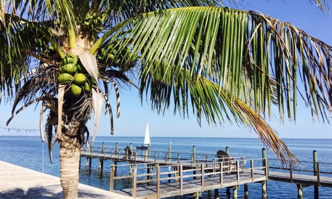 Coquina Key Copropriété | Vue panoramique sur la baie, admirez les couchers de soleil et les dauphins, patio privé tropical