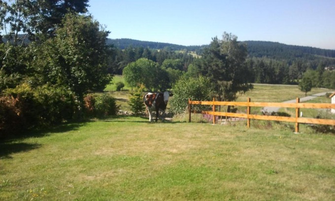 Saint-Regis-du-Coin Appartement | Ressourcez vous en pleine nature!