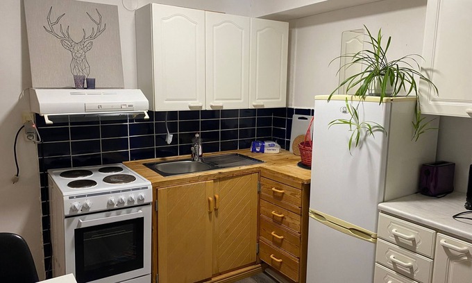 Lieto Appartement | Retro Hideaway 40 min from Turku