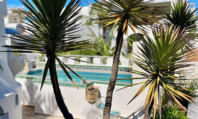 Medina Maison | Riad Oasis d'Asilah