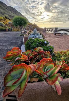 Barlovento Maison | Riegos de Lino