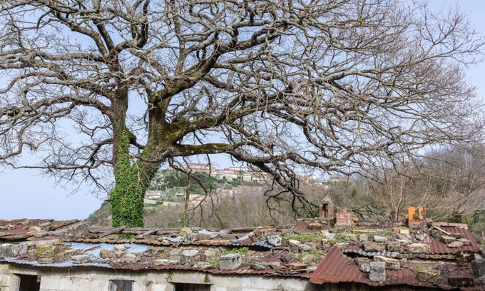 Magliano Vetere Maison | Rifugio dell'Amore e Pace