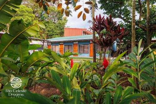 Bijagua Appartement | Rio Celeste Dreams