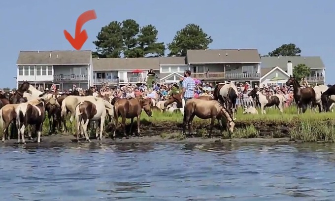 Chincoteague Maison | Riptide’s Crossing: A waterfront getaway w/deep water dock and incredible views