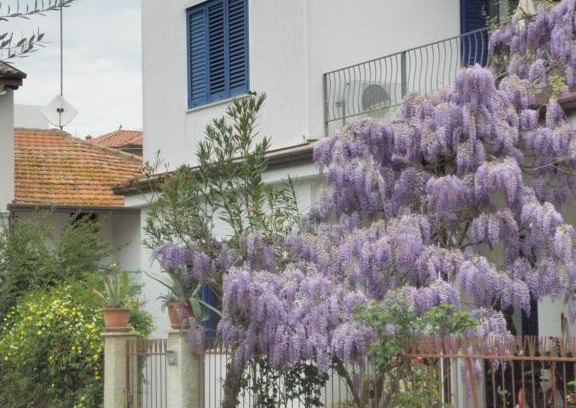 Giulianova Appartement | RITA'S ROOM ON THE SEA