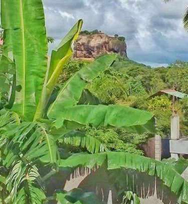Sigiriya Maison | Rithu Homestay