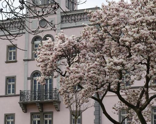 Meissen Maison | Rittergut Rottewitz