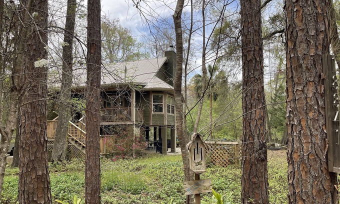 High Springs Maison | River cottage on the wild and scenic Santa Fe River in High Springs, Florida.