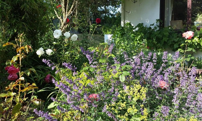Inch Lit Et Petit-Déjeuner | Riverfield Bed and Breakfast
