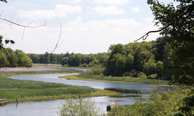 Port Sheldon Maison | Dans la retraite des bois, LLC