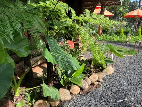 Buon Ma Thuot Autre | Riverside