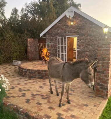 Bonnievale Appartement | Rivier-Plesier Cottage at Riggton River Farm