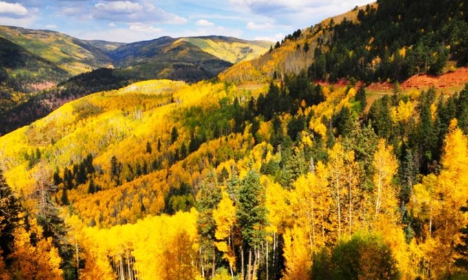 Divide Cabine | Forested Hideaway, Hottub, WiFi, Directv, Wildlife, Nr Attractions, Gas & Food!