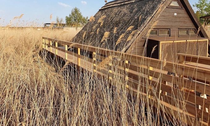 Rust Appartement | Romantika5 - Schilfhaus, Dusche, WC, Seeblick