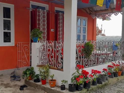 Kumai Maison | Rongo Yalakhom Riverside Homestay