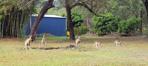 Agnes Water Maison | Roo Or 2 on Streeter