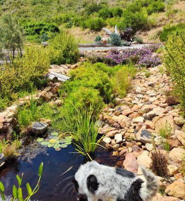 Montagu Appartement | Roodekloof