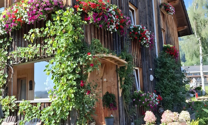 Sibratsgfaell Appartement | Room 'Alpenfrieden' with Mountain View, Shared Garden and Wi-Fi