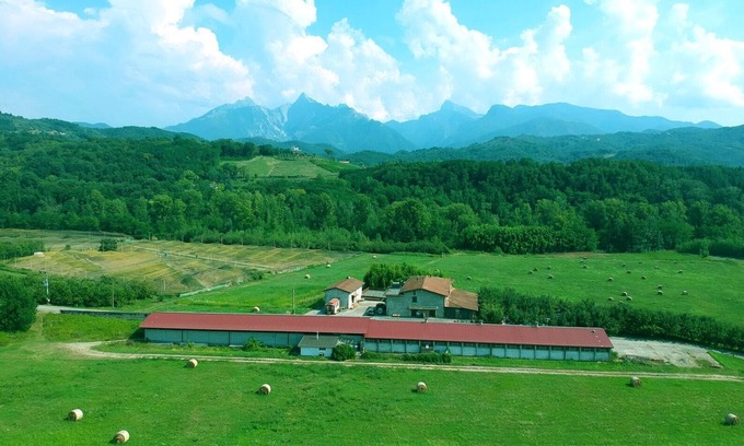 Gassano Autre | CHAMBRE CINQ à Agriturismo La Praduscella