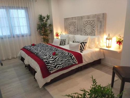 El Guincho Appartement | Room Plaza San Marcos CASCO HSTORICO